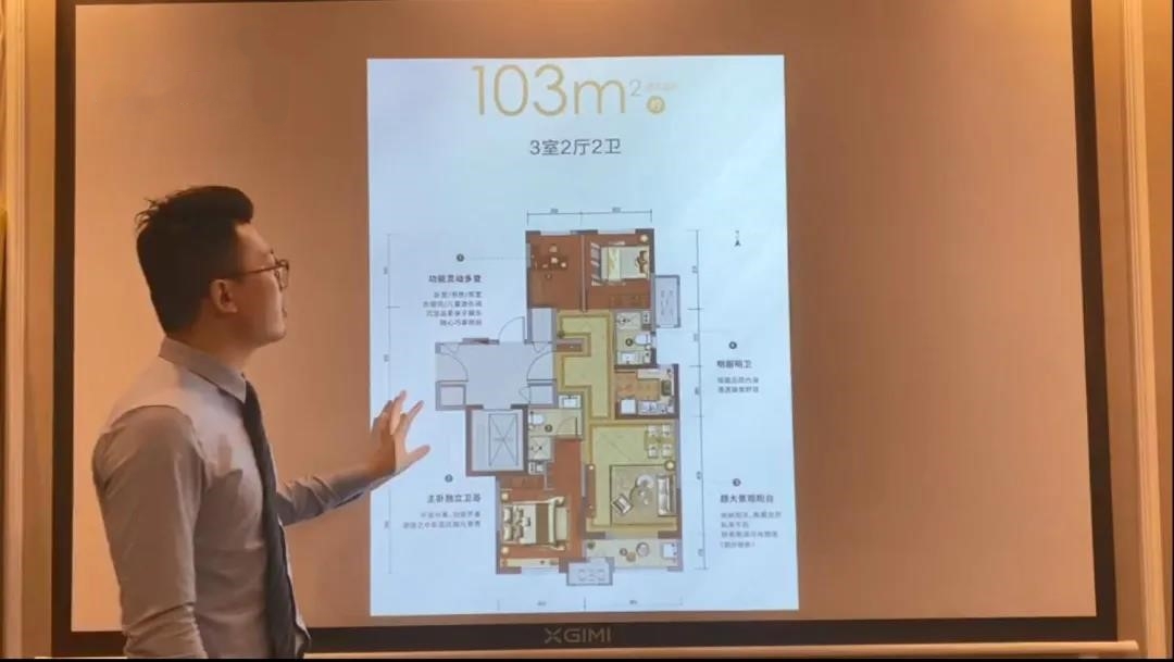 内部精选12码